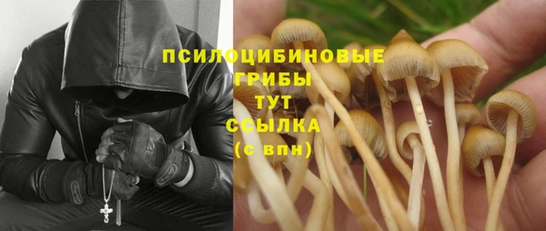 ешки Михайловка