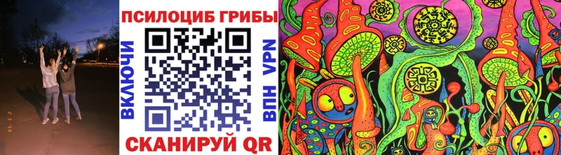 Псилоцибиновые грибы ЛСД  Купить где  Шацк 